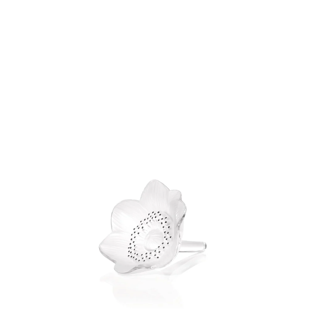 MS clear-anemone-sculpture